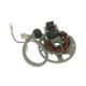 Naraku Stator, Minarelli Horizontal-, Vertical-cylinder 03-, Aprilia / MBK / Yam