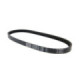 Dayco Belt, 16,6 x 785