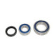 Sno-X Chain case bearing kit Ski-Doo