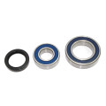 Sno-X Chain case bearing kit Ski-Doo