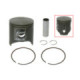 Sno-X Piston kit Arctic Cat 6000