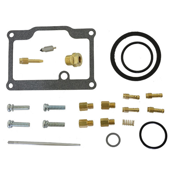 Sno-X Carburetor repair kit Arctic Cat