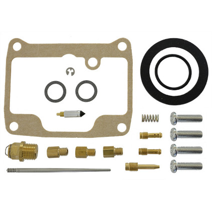 Sno-X Carburetor repair kit Ski-Doo