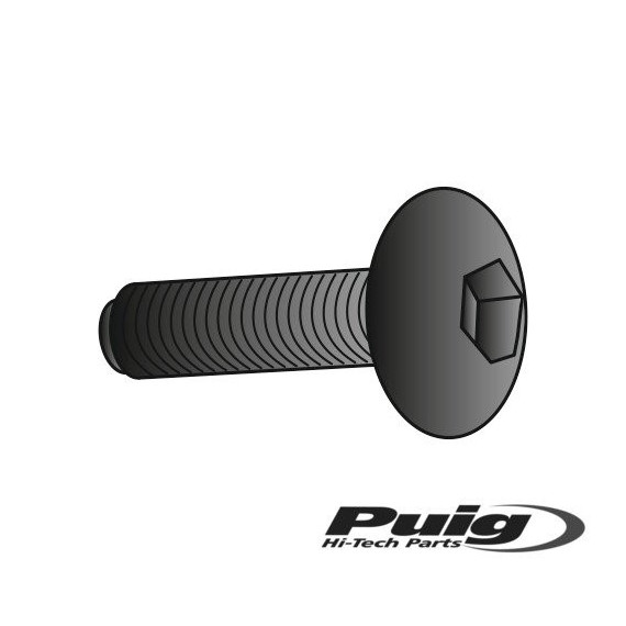 Puig Kit Screws Allen M5X15Mm. C/Black