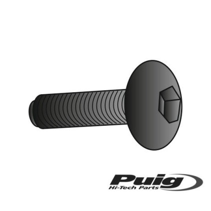 Puig Kit Screws Allen M5X25Mm. C/Black