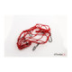 Puig Elastic Network Cargo net De 350X350 C/Red