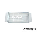 Puig Cover Radiator Kawasaki Zr7 01-03'