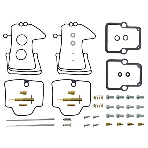 Sno-X Carburetor repair kit Ski-Doo