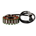 SBT Stator Sea Doo