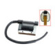 Bronco Ignition coil