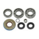 Bronco Differential bearing kit Can Am