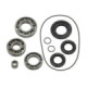 Bronco Differential bearing kit