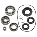 Bronco Differential bearing kit