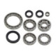 Bronco Differential bearing kit CF Moto