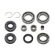 Bronco Differential bearing kit