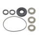 Bronco Differential bearing kit