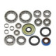 Bronco Differential bearing kit