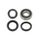 Bronco Wheel bearing kit Honda