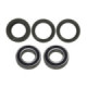 Bronco Wheel bearing kit CF-Moto