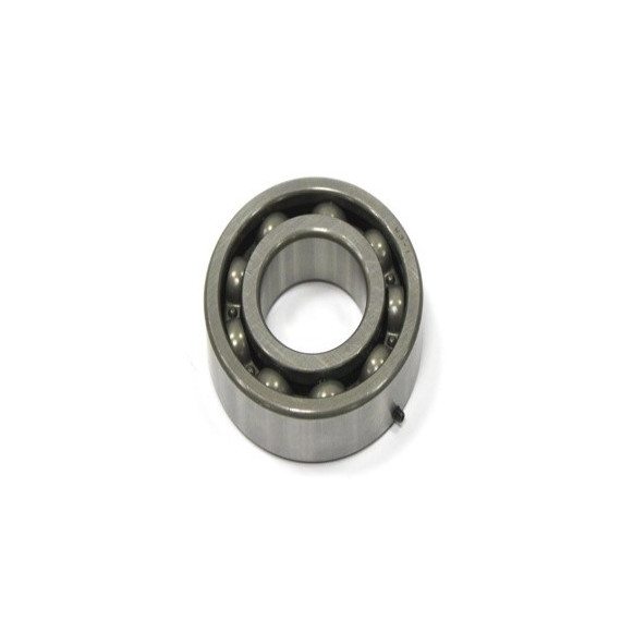 NTN Bearing 6206JR2W3-1C4 (crankshaft, Polaris)