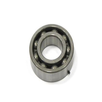 NTN Bearing 6206JR2W3-1C4 (crankshaft, Polaris)