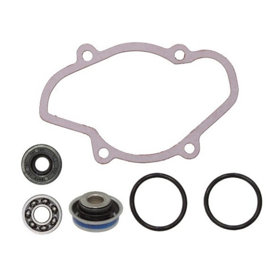 Sno-X Water pump repair kit Ski-Doo 800 Ptek/Etec