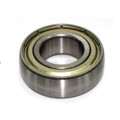 Sno-X ARC Bearing