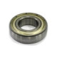 Sno-X ARC Bearing