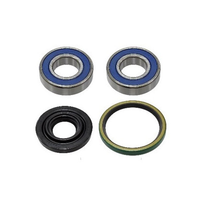 Sno-X Chain case bearing kit