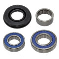 Sno-X Chain case bearing kit Ski-Doo