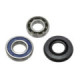 Sno-X Chain case bearing kit