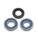 Sno-X Chain case bearing kit Yamaha