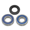 Sno-X Chain case bearing kit Yamaha