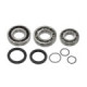 Sno-X Chain case bearing kit