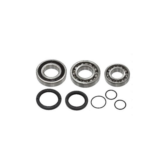 Sno-X Chain case bearing kit