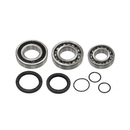 Sno-X Chain case bearing kit