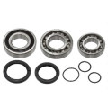 Sno-X Chain case bearing kit