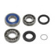 Sno-X Chain case bearing kit Yamaha