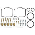 Sno-X Carburetor repair kit Polaris