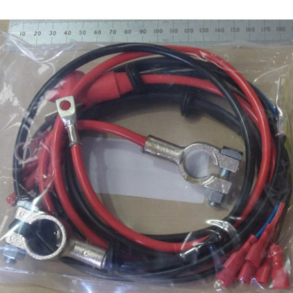 Wessex Wiring Harness/Battery Set