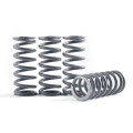 Hinson Clutch Springs KX85 '01-'16/ KX100 2010-