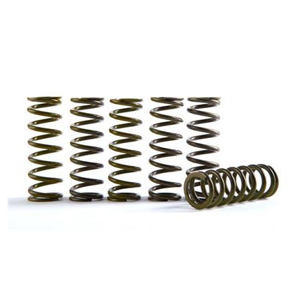 Hinson Clutch Springs HONDA, KTM250-505, ATV