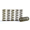 Hinson Clutch Springs HONDA, KTM250-505, ATV