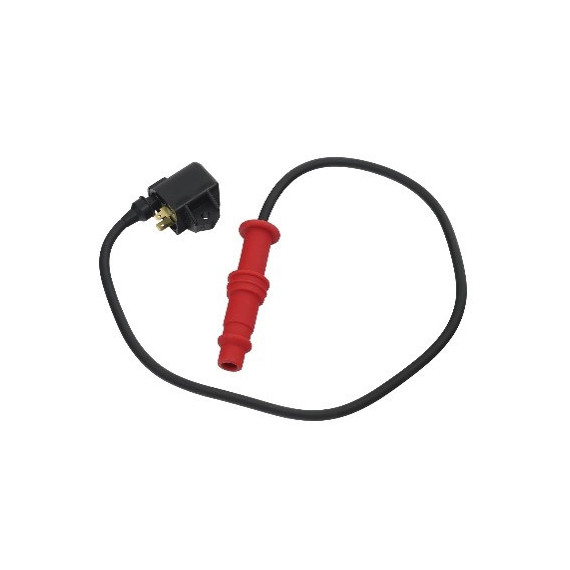 Bronco Ignition coil Polaris