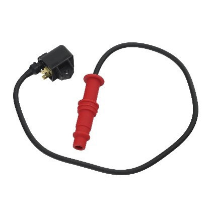 Bronco Ignition coil Polaris