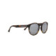 Spect Red Bull Lace Sunglasses havanna/smoke/silver flash POL