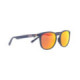 Spect Red Bull Steady Sunglasses blue/brown/red mirror POL