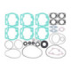 Sno-X Full Gasket Set With Oil Seal Rotax 454