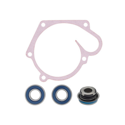 Sno-X Water Pump Repair Kit Polaris