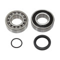 Sno-X Chain case bearing kit Arctic Cat